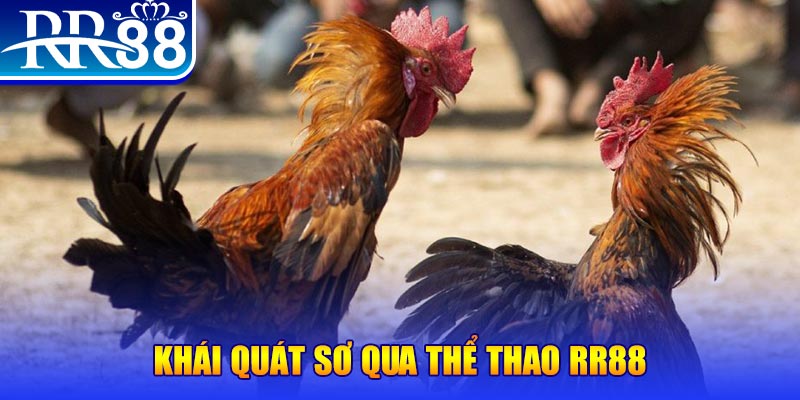 Khái quát sơ qua thể thao RR88